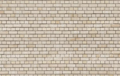 Brickwork 16X10 Ultracloth ( 192 X 120 Inch ) Backdrop