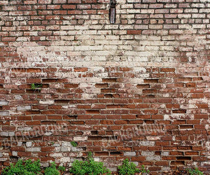 Brickwork 5X42 Fleece ( 60 X 50 Inch ) Backdrop