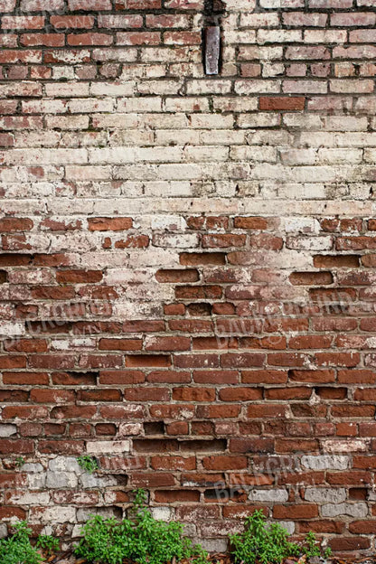 Brickwork 5X8 Ultracloth ( 60 X 96 Inch ) Backdrop