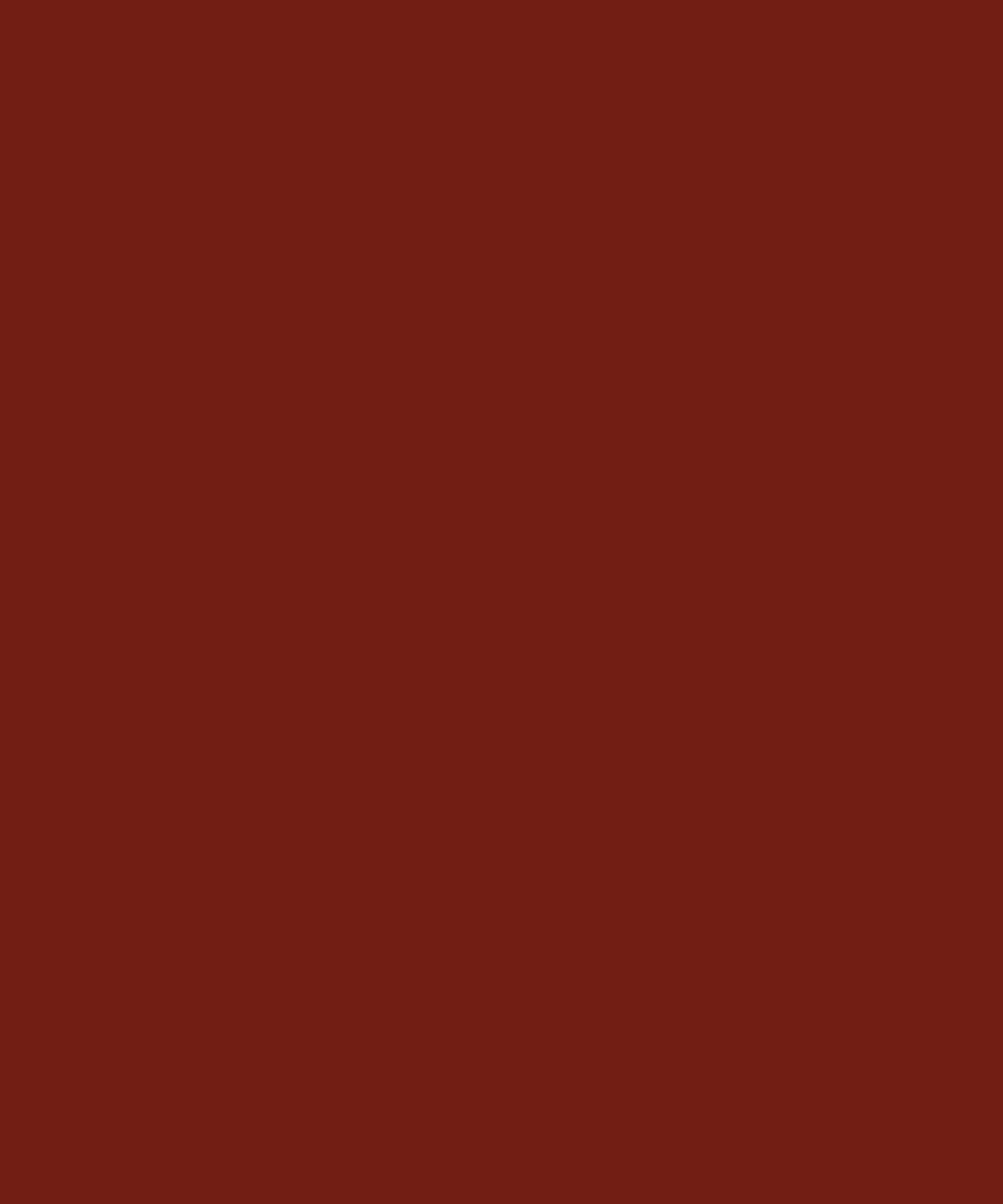 Brickyard Red Solid Color Backdrop for Photography