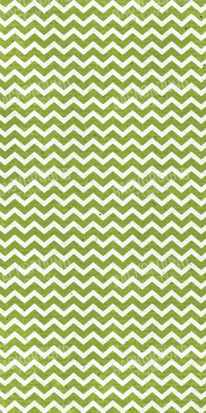 Briggs 10X20 Ultracloth ( 120 X 240 Inch ) Backdrop
