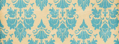 Bristol 20X8 Ultracloth ( 240 X 96 Inch ) Backdrop