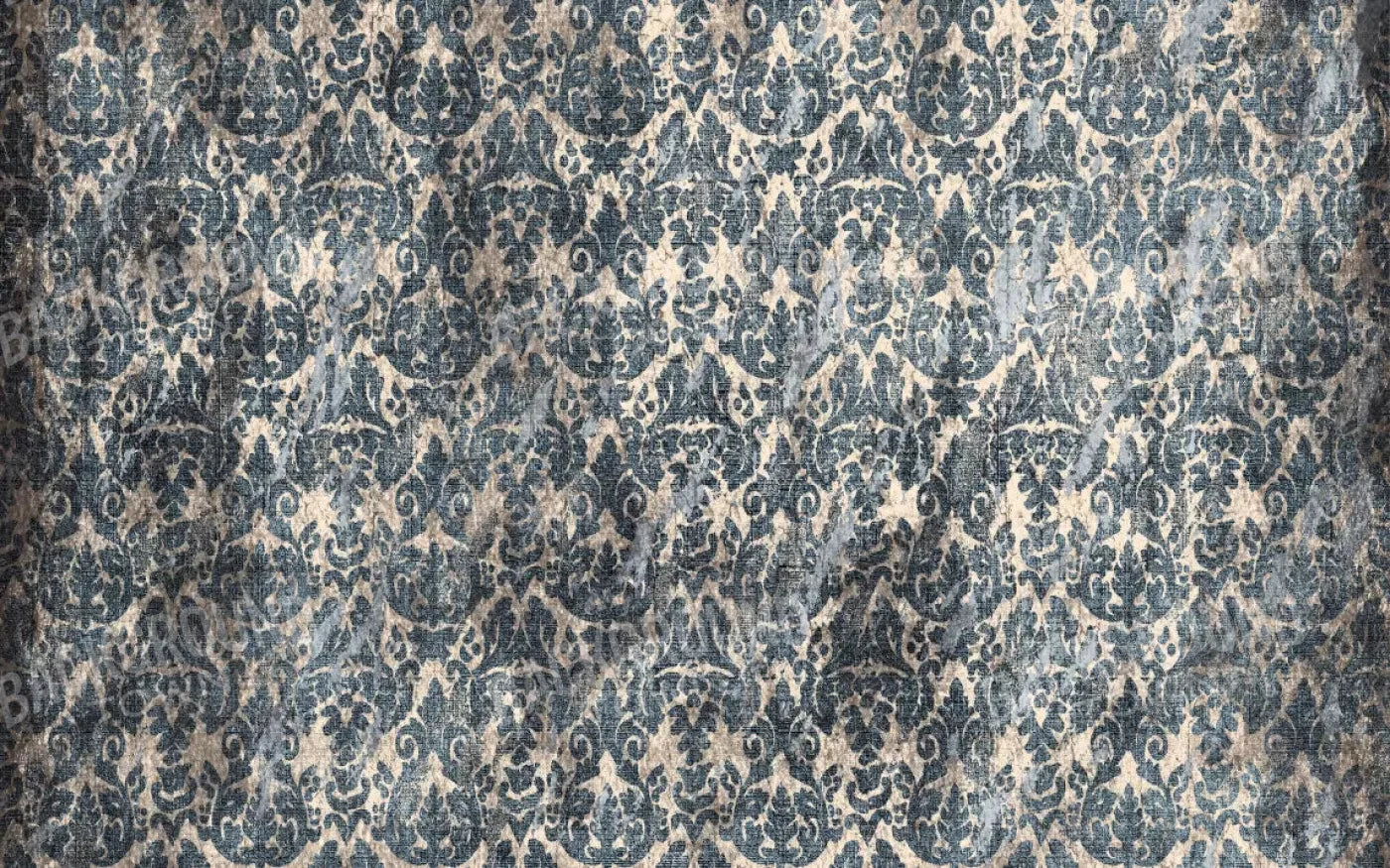 Brodie 14X9 Ultracloth ( 168 X 108 Inch ) Backdrop