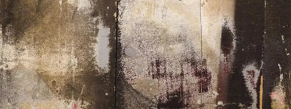 Bromance 20X8 Ultracloth ( 240 X 96 Inch ) Backdrop
