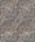 Gray Classic and Masters Backdrop for Photography