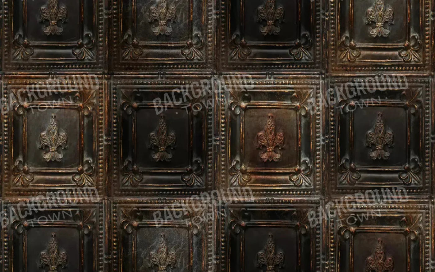 Bronzed 14X9 Ultracloth ( 168 X 108 Inch ) Backdrop