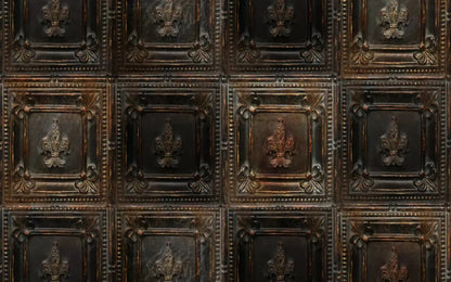 Bronzed 14X9 Ultracloth ( 168 X 108 Inch ) Backdrop