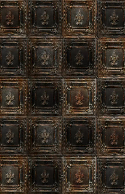 Bronzed 8X12 Ultracloth ( 96 X 144 Inch ) Backdrop