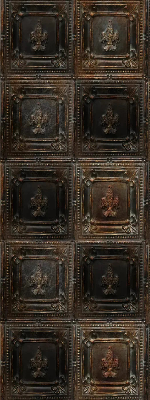 Bronzed 8X20 Ultracloth ( 96 X 240 Inch ) Backdrop
