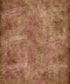 Brown Classic and Masters Backdrop for Photography