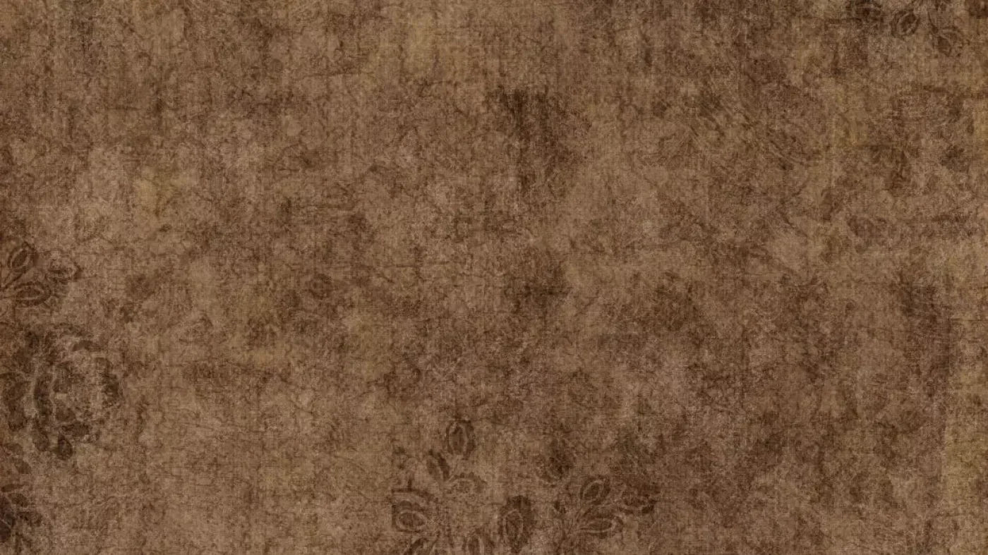 Brownie 14X8 Ultracloth ( 168 X 96 Inch ) Backdrop