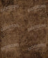 Brown Classic and Masters Backdrop for Photography