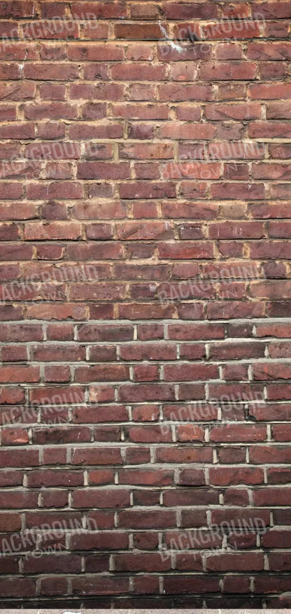 Brownstone 8X16 Ultracloth ( 96 X 192 Inch ) Backdrop