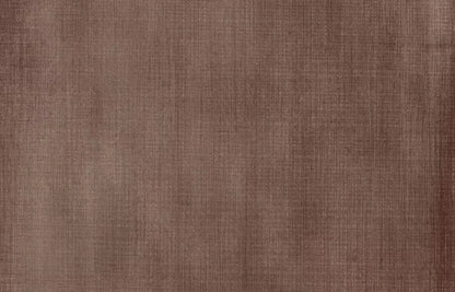 Buck 12X8 Ultracloth ( 144 X 96 Inch ) Backdrop