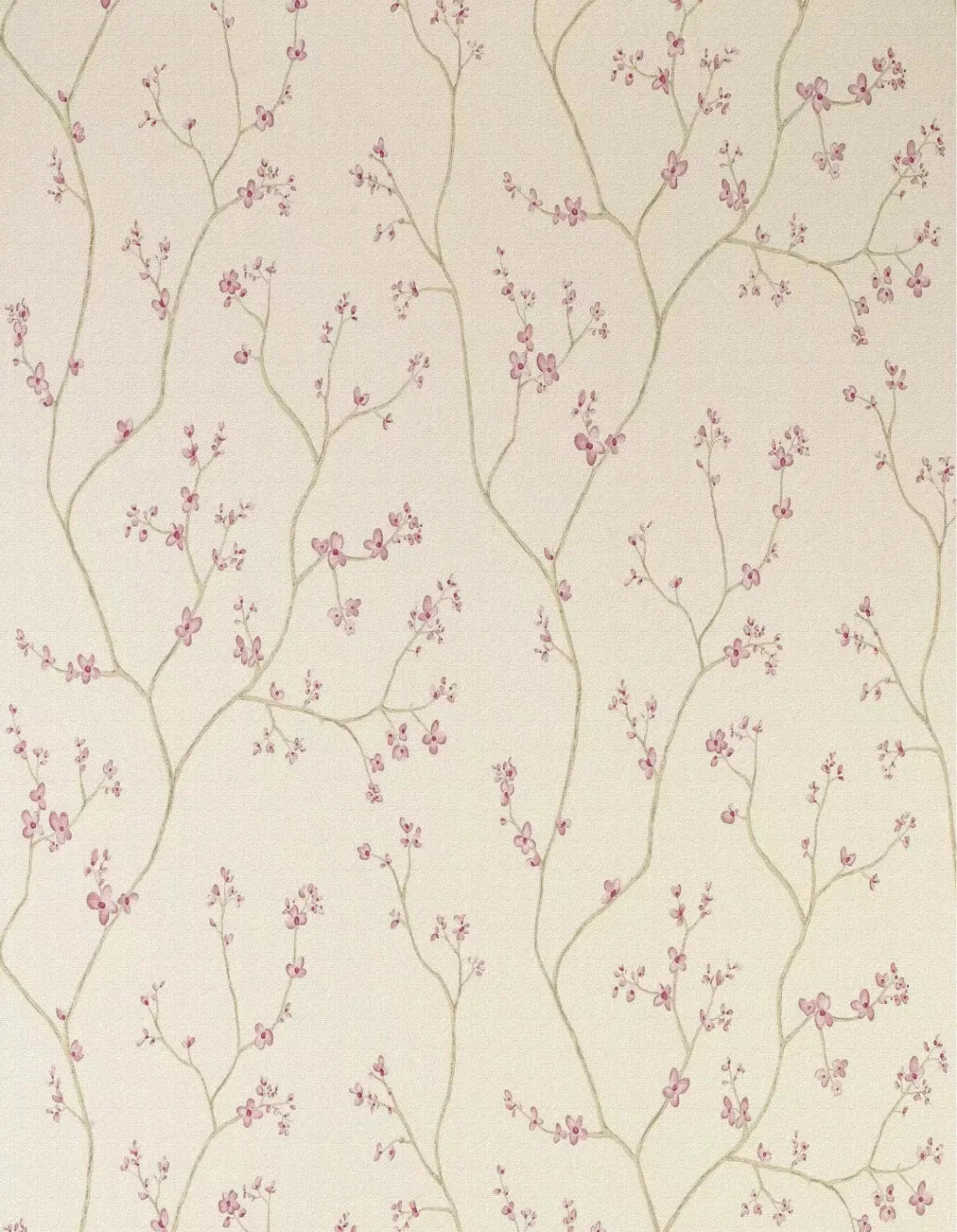 Budding 6X8 Fleece ( 72 X 96 Inch ) Backdrop