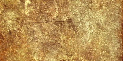 Burmese 20X10 Ultracloth ( 240 X 120 Inch ) Backdrop