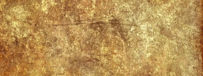 Burmese 20X8 Ultracloth ( 240 X 96 Inch ) Backdrop