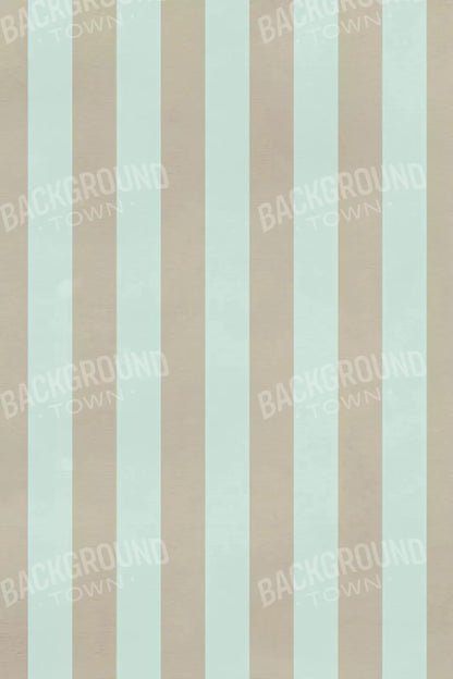 Burton 5X8 Ultracloth ( 60 X 96 Inch ) Backdrop