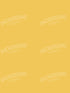 Buttercream 5X7 Ultracloth ( 60 X 84 Inch ) Backdrop