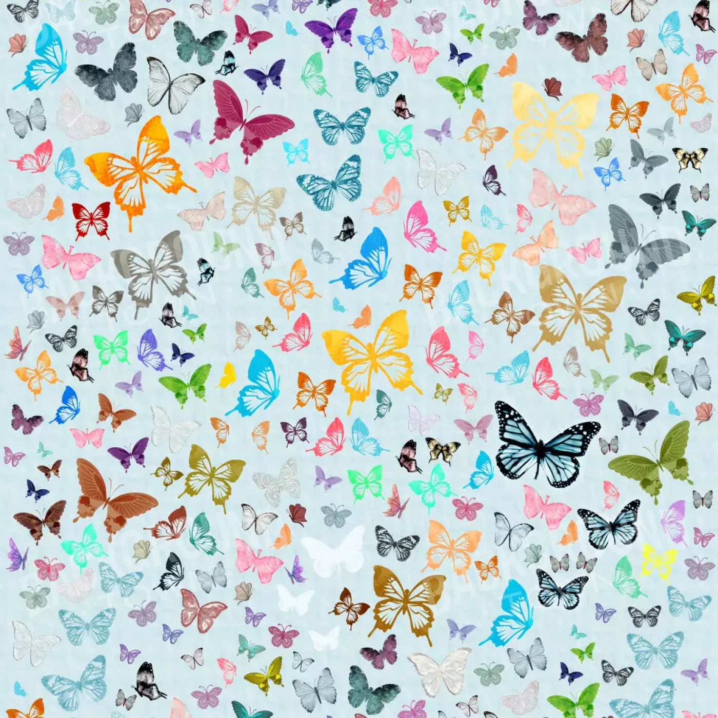 Butterfly 10X10 Ultracloth ( 120 X Inch ) Backdrop