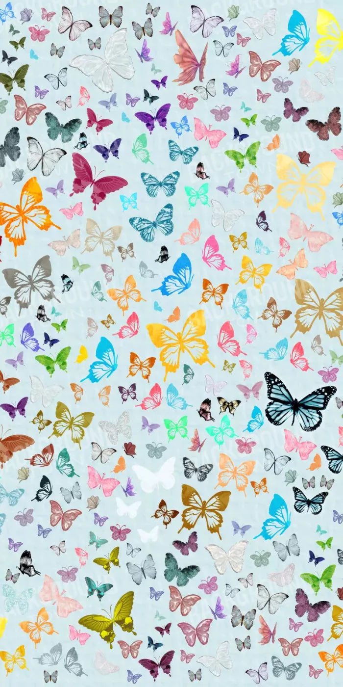 Butterfly 10X20 Ultracloth ( 120 X 240 Inch ) Backdrop