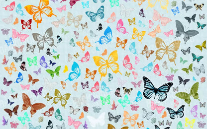 Butterfly 14X9 Ultracloth ( 168 X 108 Inch ) Backdrop