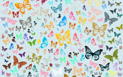 Butterfly 14X9 Ultracloth ( 168 X 108 Inch ) Backdrop
