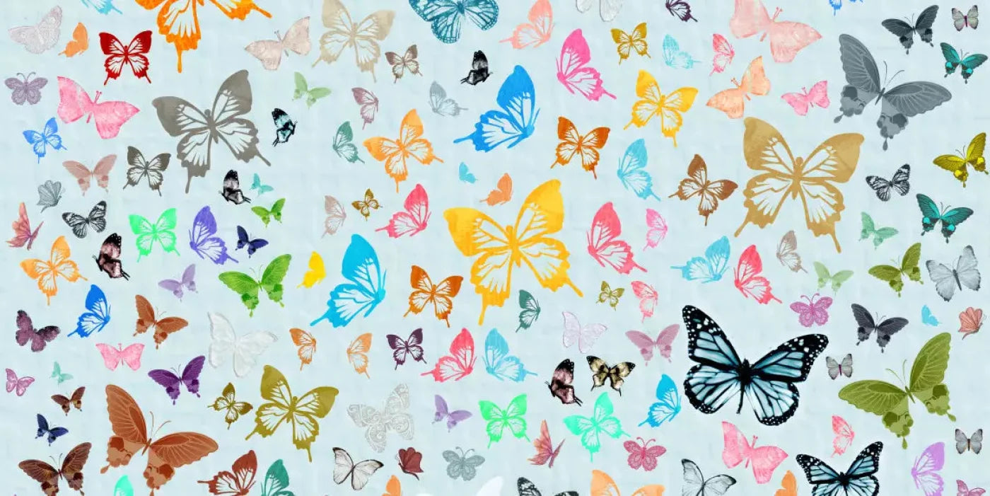 Butterfly 20X10 Ultracloth ( 240 X 120 Inch ) Backdrop
