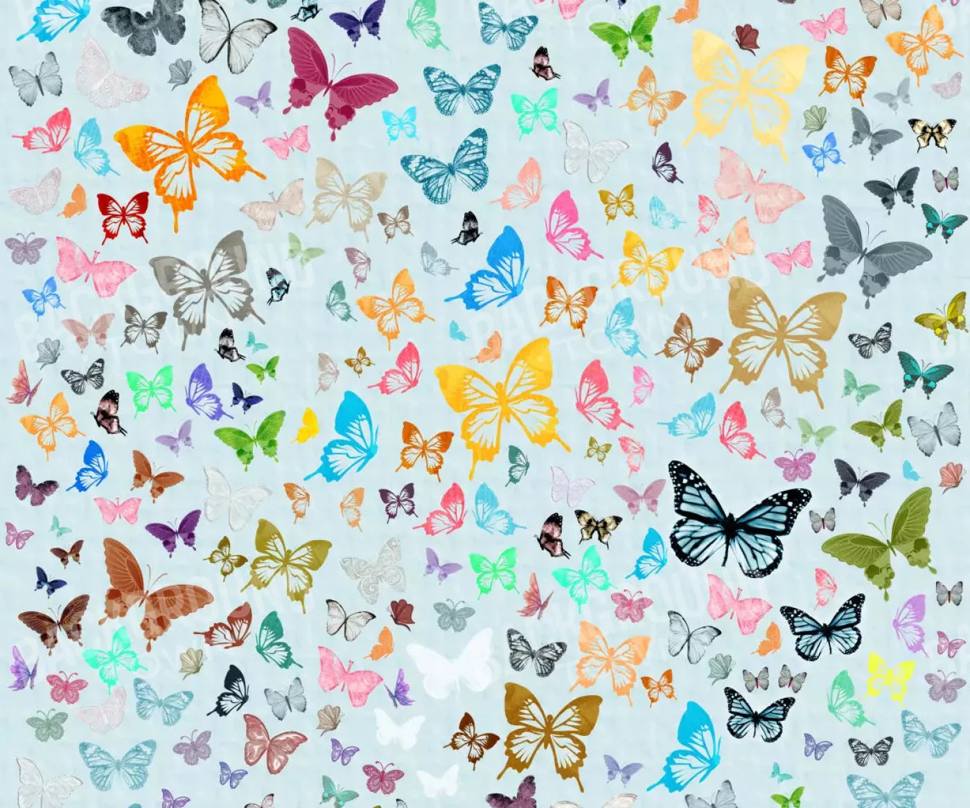 Butterfly 5X42 Fleece ( 60 X 50 Inch ) Backdrop