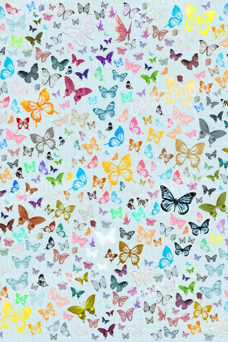 Butterfly 5X8 Ultracloth ( 60 X 96 Inch ) Backdrop