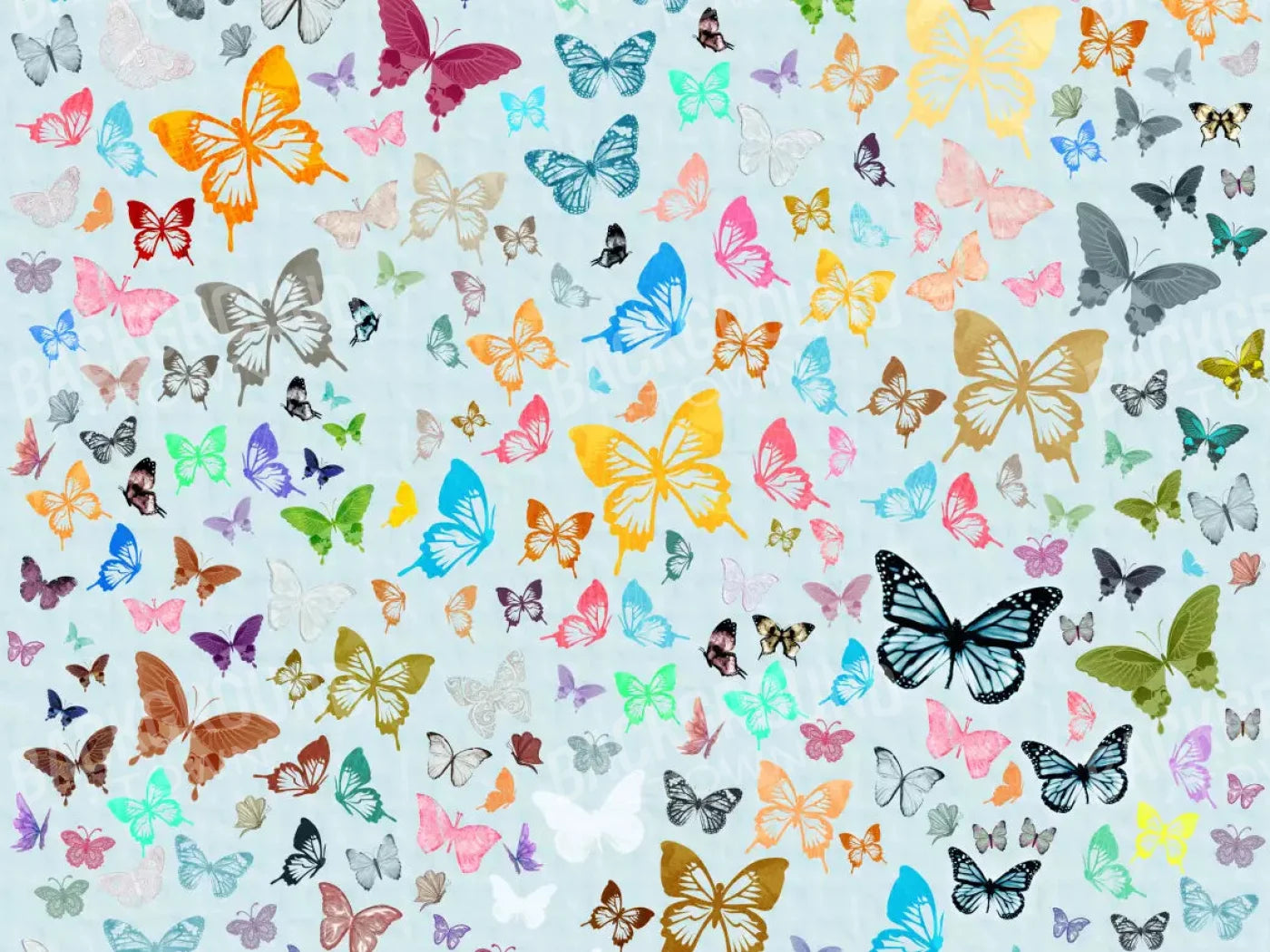 Butterfly 68X5 Fleece ( 80 X 60 Inch ) Backdrop