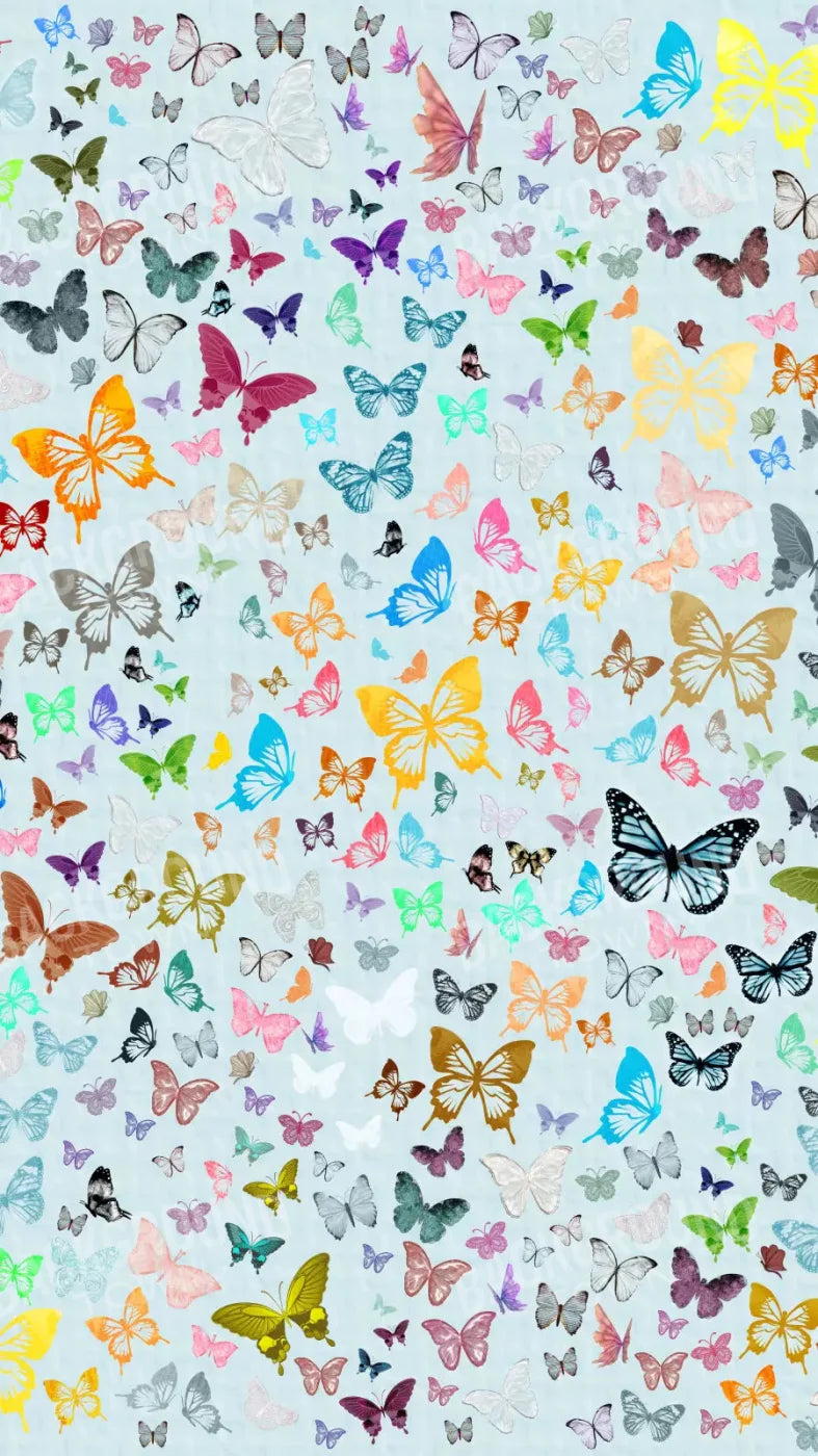 Butterfly 8X14 Ultracloth ( 96 X 168 Inch ) Backdrop