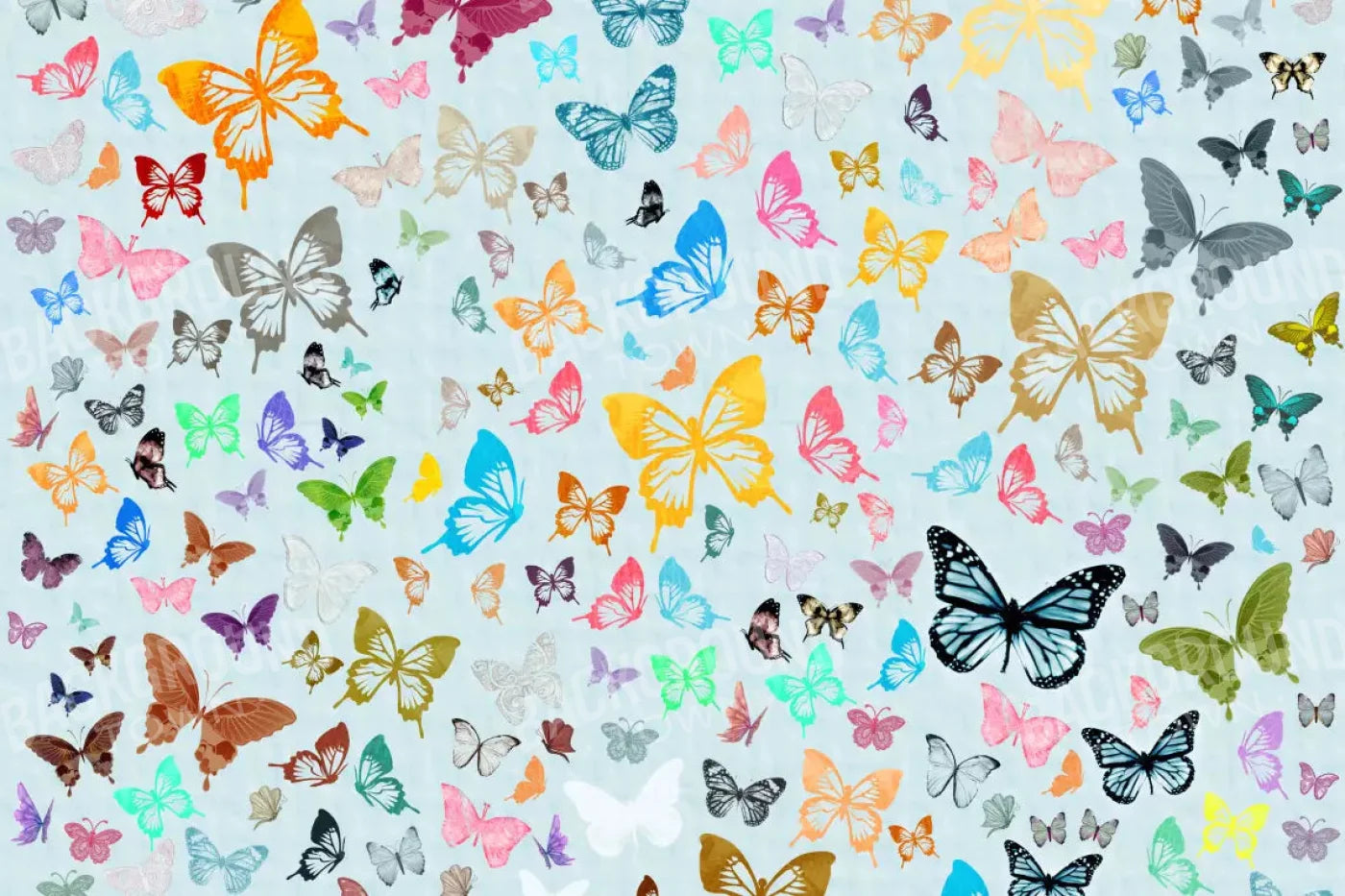 Butterfly 8X5 Ultracloth ( 96 X 60 Inch ) Backdrop