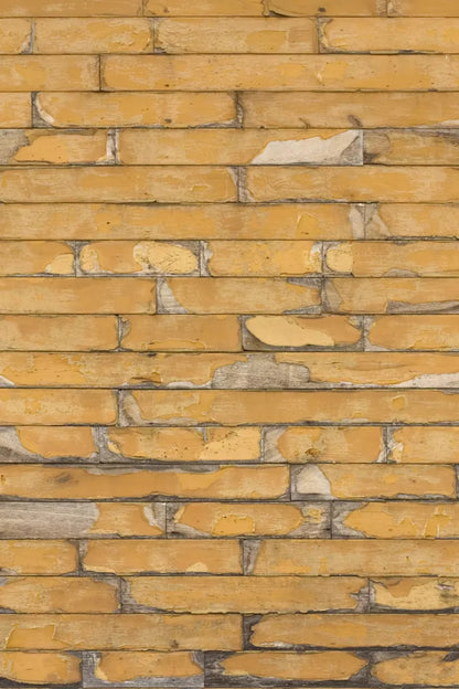 Butternut 5X76 For Lvl Up Backdrop System ( 60 X 90 Inch )