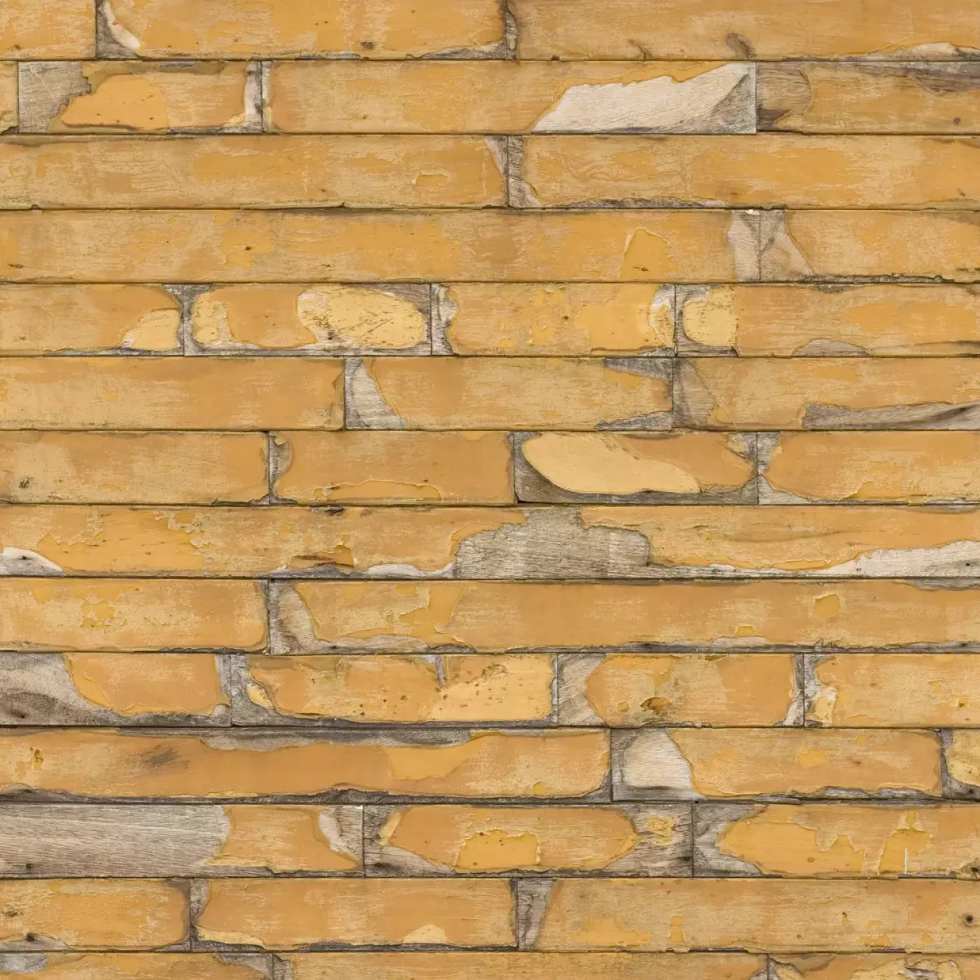 Butternut 5X5 Rubbermat Floor ( 60 X Inch ) Backdrop