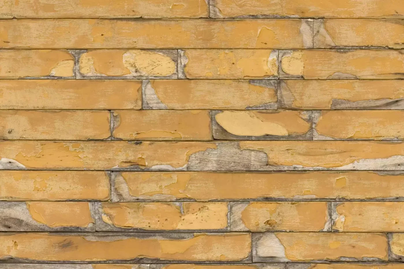 Butternut 5X4 Rubbermat Floor ( 60 X 48 Inch ) Backdrop