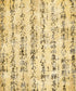 Yellow Pattern Backdrop for Photography