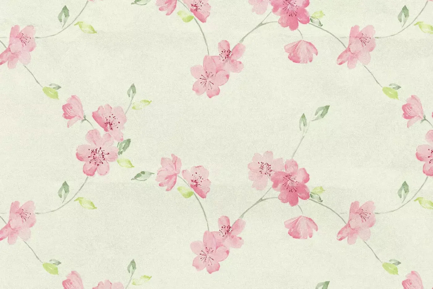 Camilla Backdrop