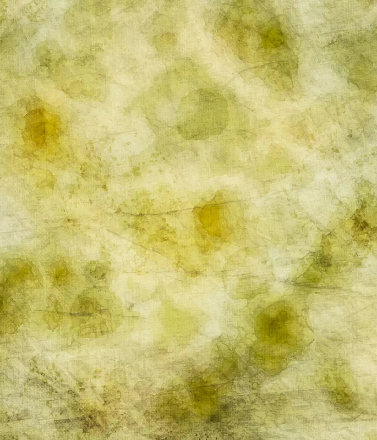 Canary 10X12 Ultracloth ( 120 X 144 Inch ) Backdrop