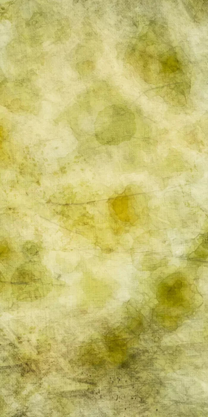 Canary 10X20 Ultracloth ( 120 X 240 Inch ) Backdrop