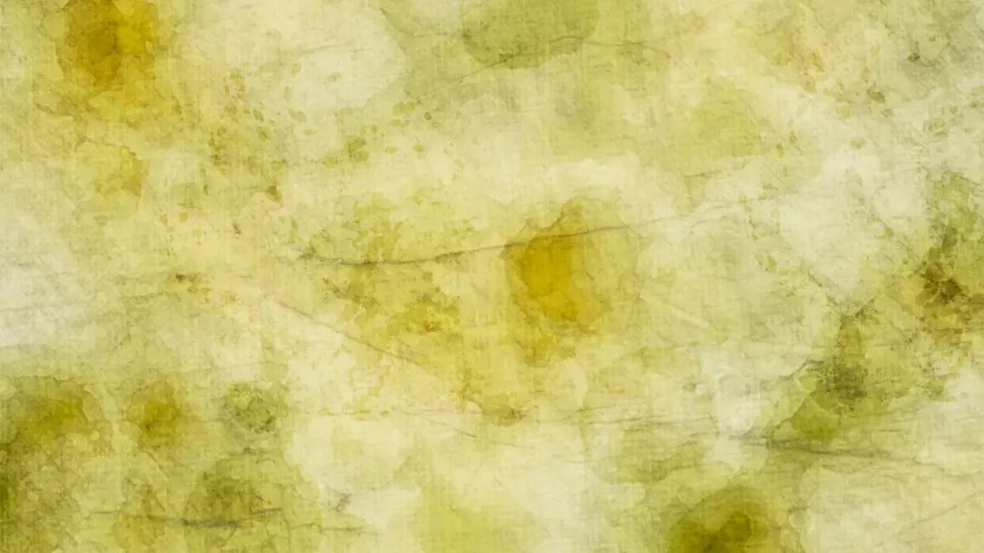 Canary 14X8 Ultracloth ( 168 X 96 Inch ) Backdrop