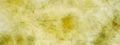 Canary 20X8 Ultracloth ( 240 X 96 Inch ) Backdrop
