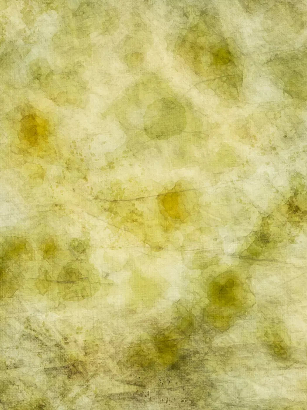 Canary 5X7 Ultracloth ( 60 X 84 Inch ) Backdrop