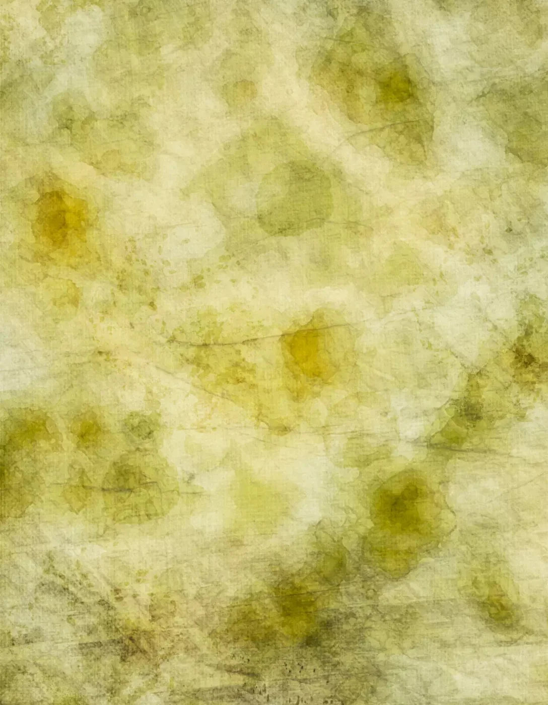 Canary 6X8 Fleece ( 72 X 96 Inch ) Backdrop