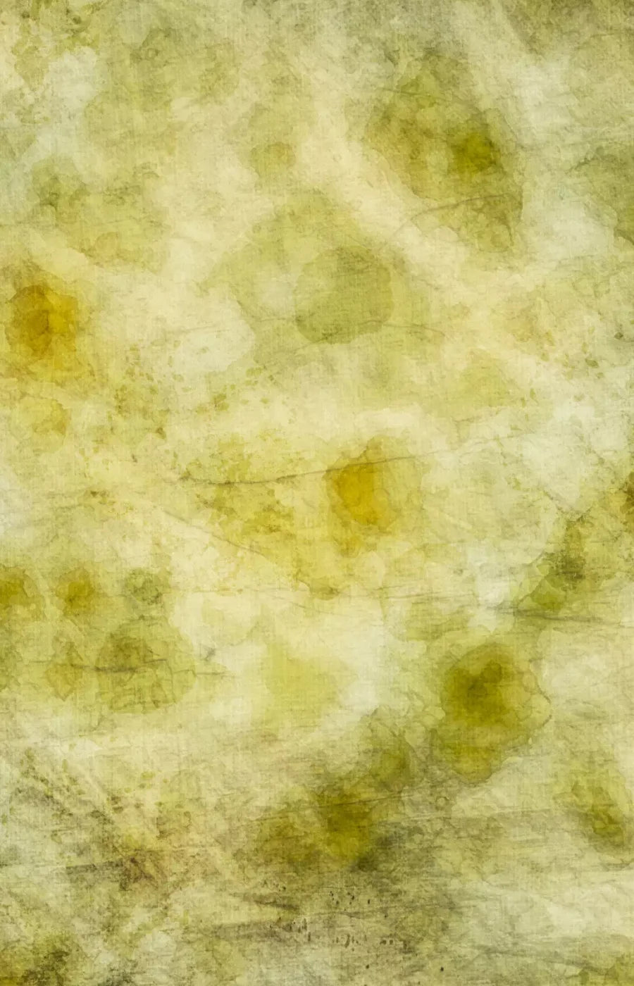 Canary 8X12 Ultracloth ( 96 X 144 Inch ) Backdrop