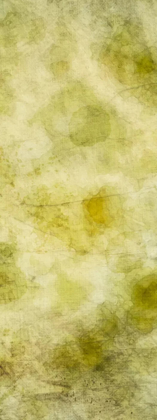 Canary 8X20 Ultracloth ( 96 X 240 Inch ) Backdrop