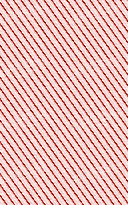 Candy Cane 9X14 Ultracloth ( 108 X 168 Inch ) Backdrop