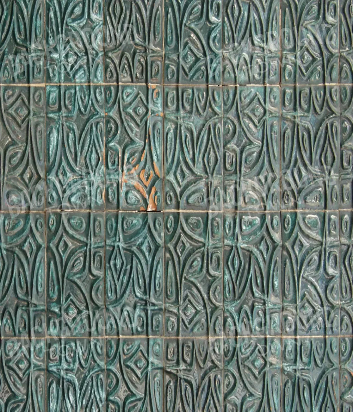 Canister 10X12 Ultracloth ( 120 X 144 Inch ) Backdrop