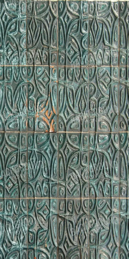 Canister 10X20 Ultracloth ( 120 X 240 Inch ) Backdrop