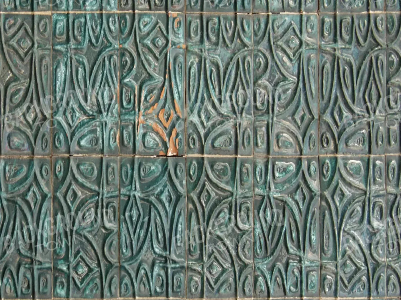 Canister 68X5 Fleece ( 80 X 60 Inch ) Backdrop